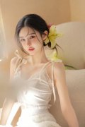 因为征管业对税解等缘由
